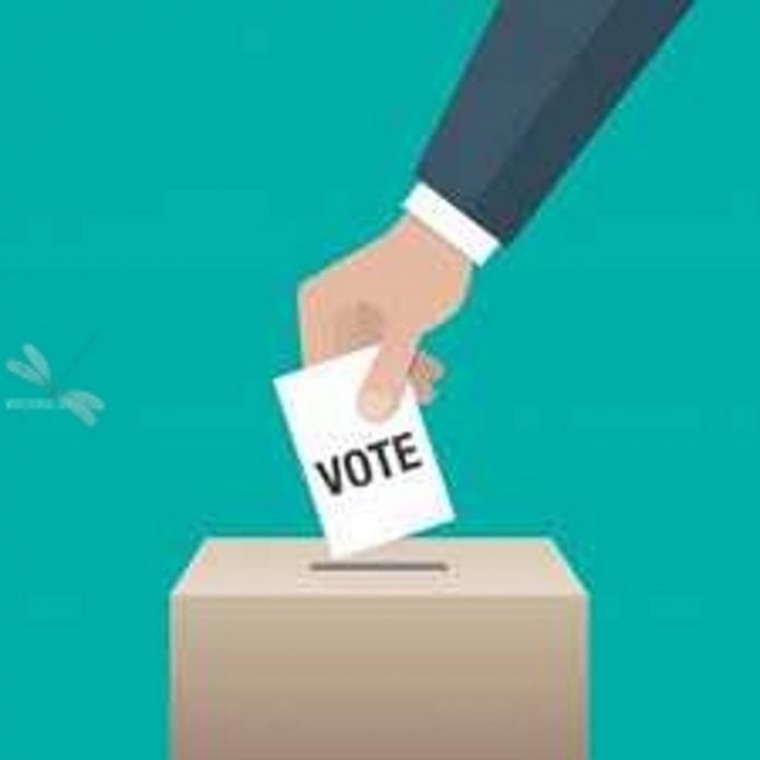 vote