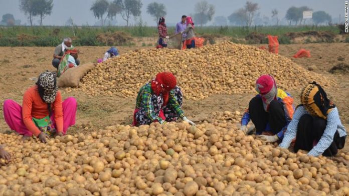 190425160702-lays-india-potato-farmers-exlarge-169
