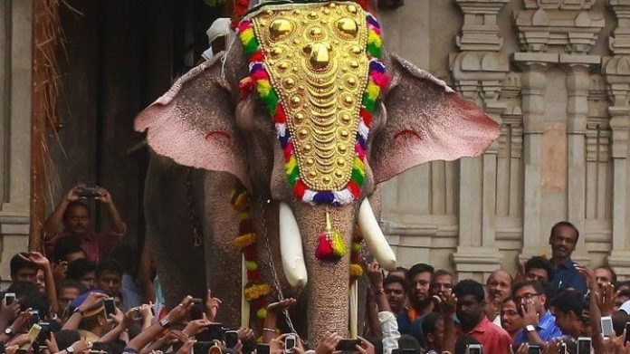 thechikottukavu