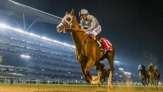 dubai race