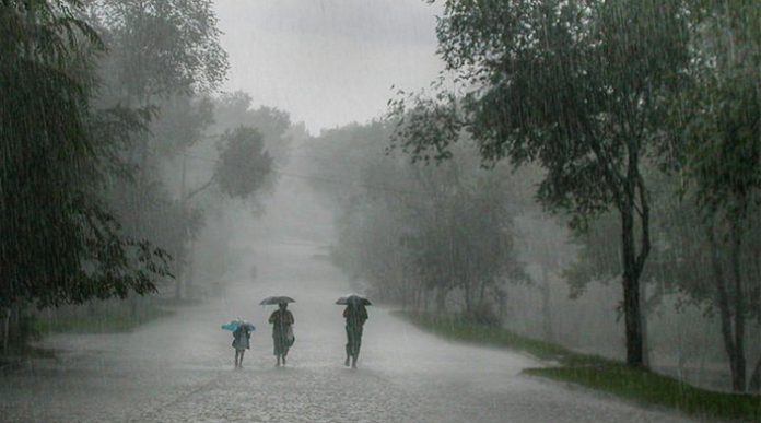 rain-full
