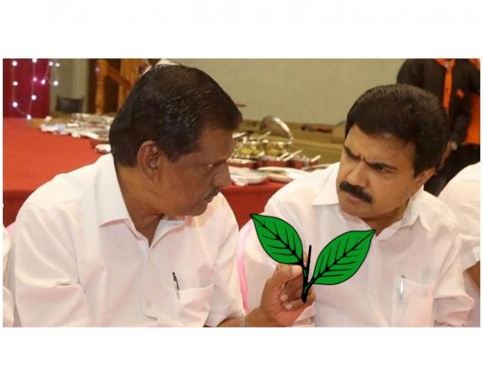 pala election
