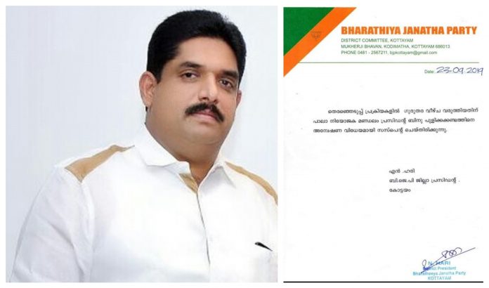pulikakandam