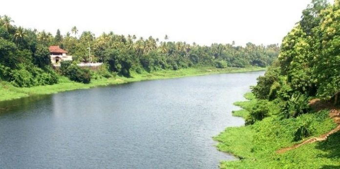 chalakudy-river-b995a4bf-a9d3-40d3-9e2b-34644c28bed-resize-750