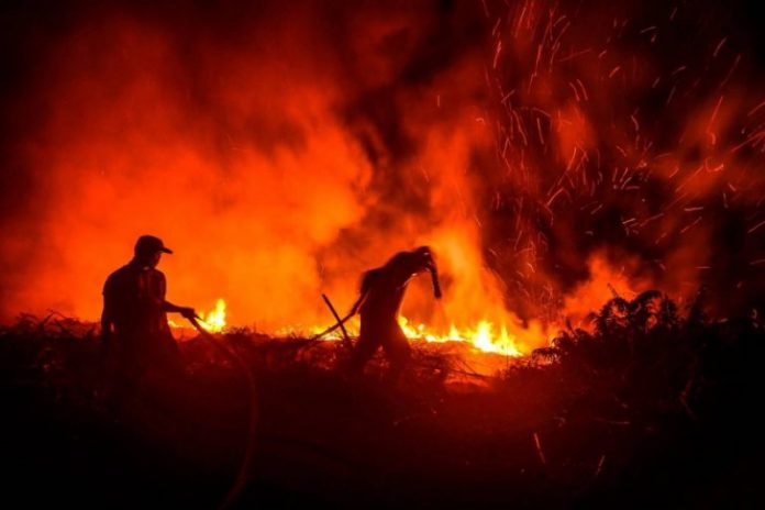 fire