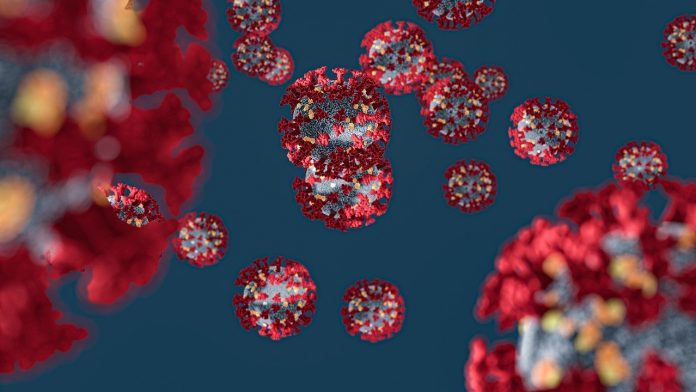 coronavirus-6-696x392