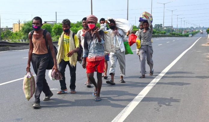 migrants-salil