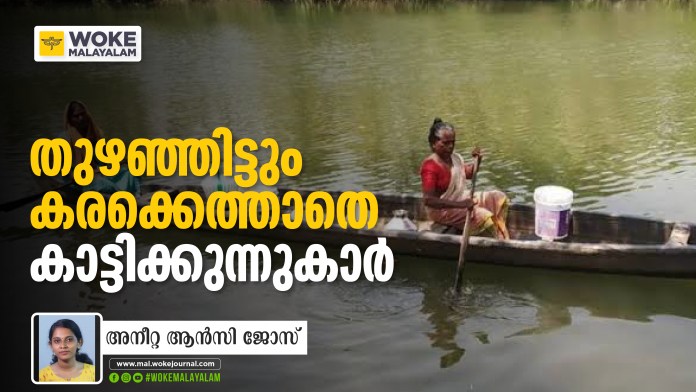 Pic (c) : Kaumudy; കാട്ടിക്കുന്ന് തുരുത്ത് Pic (c) : Kaumudy; കാട്ടിക്കുന്ന് തുരുത്ത്