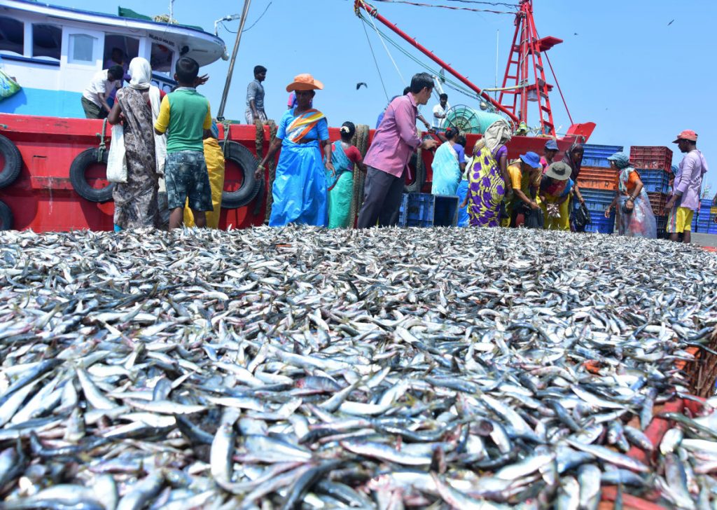 Fish Sales, Pic credits: Deccan Herald