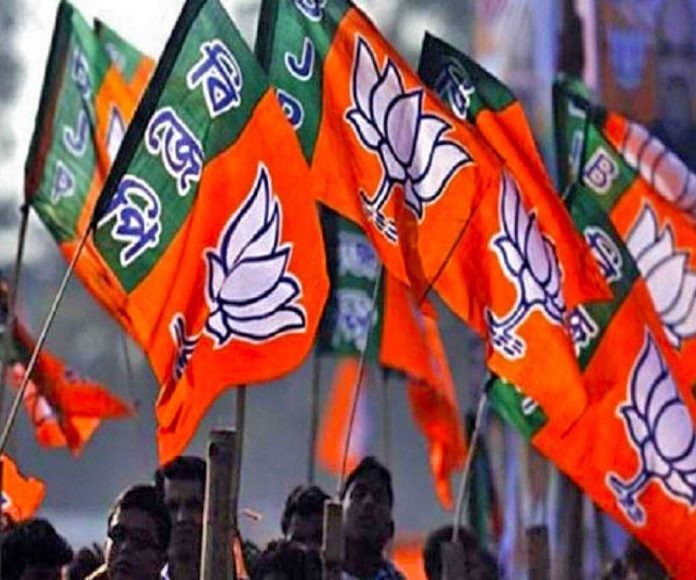 bjp_flag_