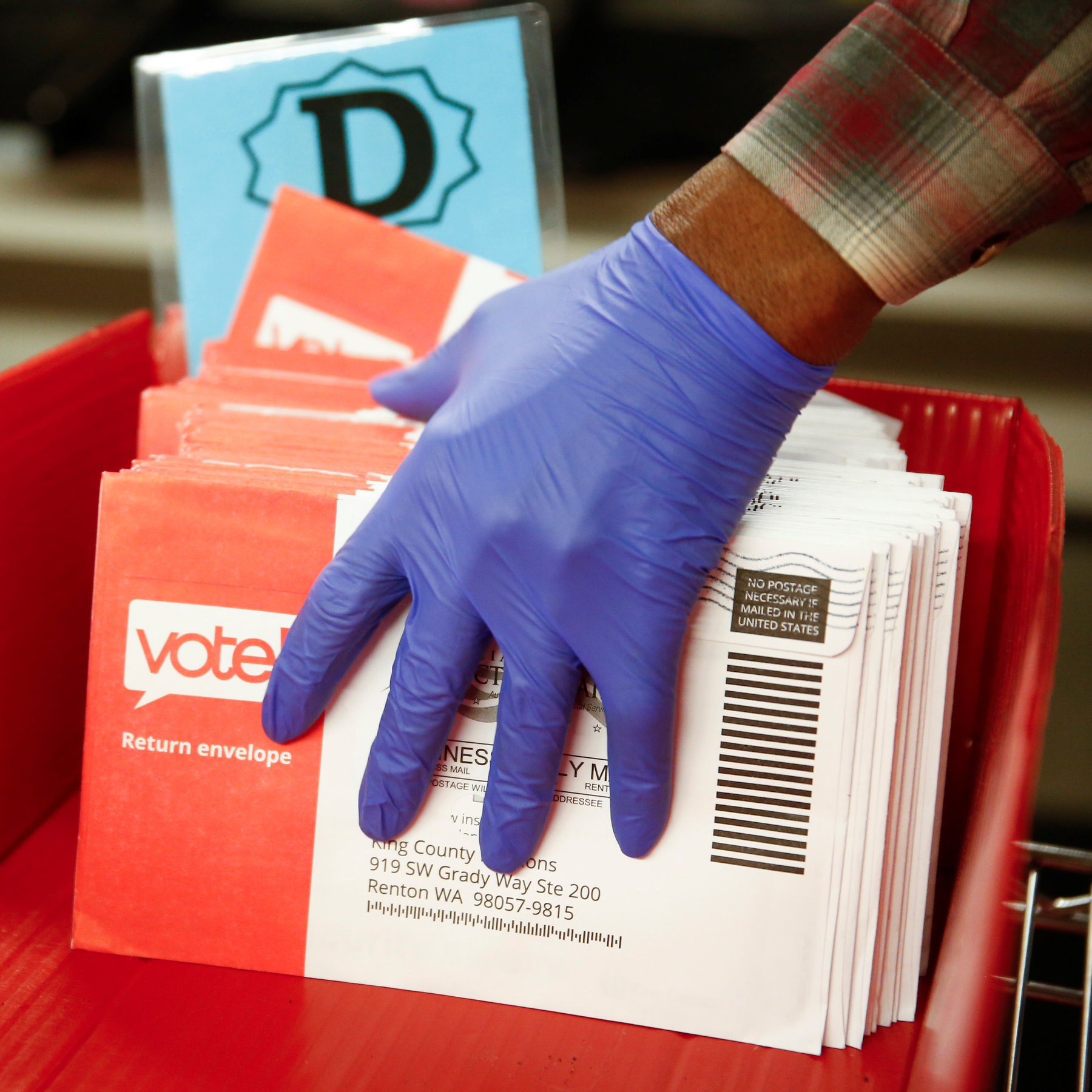 Electronic postal votes for expats