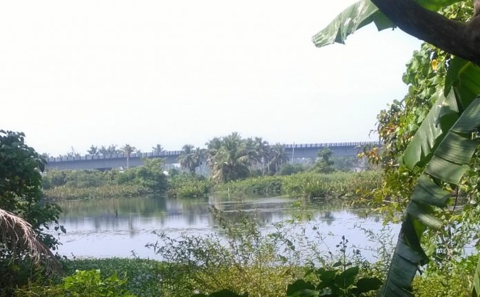 വല്ലാര്പാടം റെയില് പാതയുടെ മൂലമ്പിള്ളിയില് നിന്നുള്ള കാഴ്ച വല്ലാര്പാടം റെയില് പാതയുടെ മൂലമ്പിള്ളിയില് നിന്നുള്ള കാഴ്ച