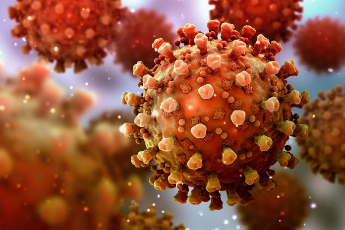 new covid mutant new covid mutant found in 6 people in India