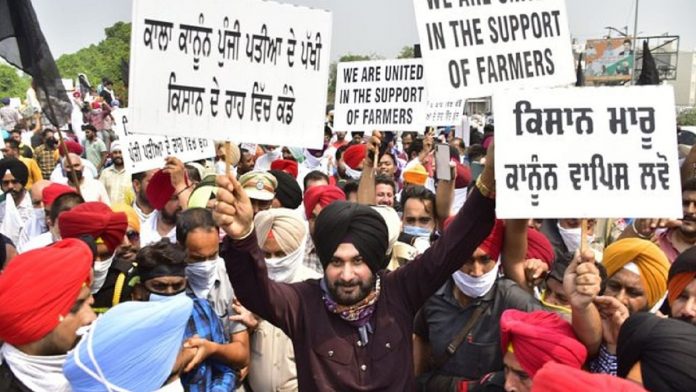volunteers are made with sweat not rose water says Navjot Sidhu volunteers are made with sweat not rose water says Navjot Sidhu