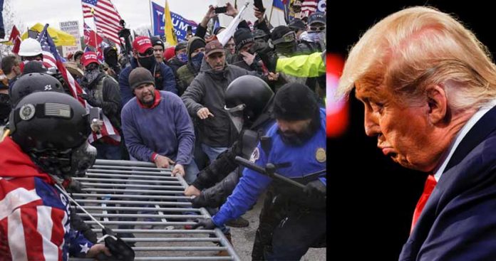 trump-chaos