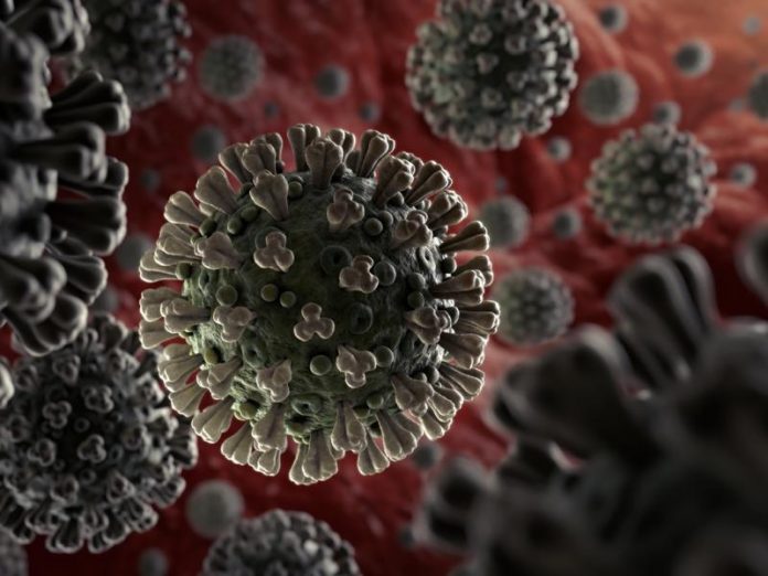Covid 19 outbreaks