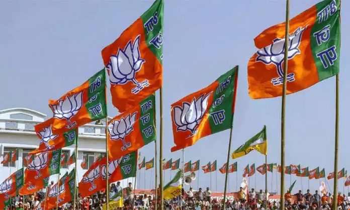 934508-bjp-flag