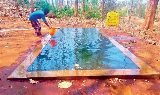 FOREST DEPARTMENT DRINKING WATER FOR ANIMALS