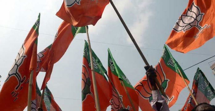 bjp-web-flag
