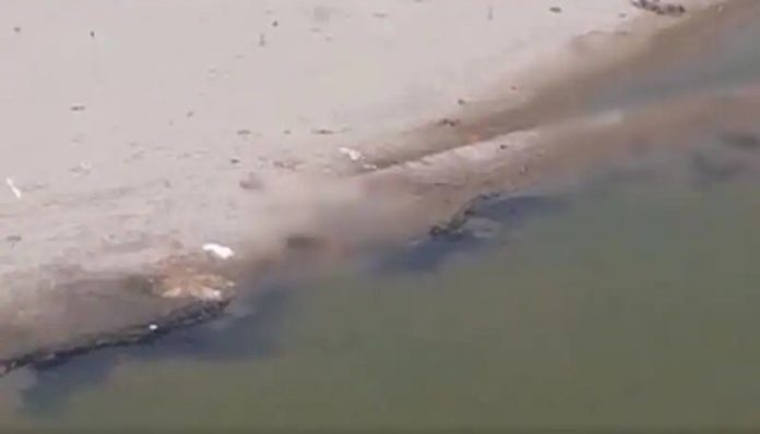 dead-bodies-floating-in-yamuna-jpg