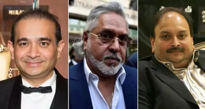 1232448-nirav-choksi