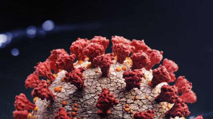 uk-variant-coronavirus-confirmed-again-in-kerala