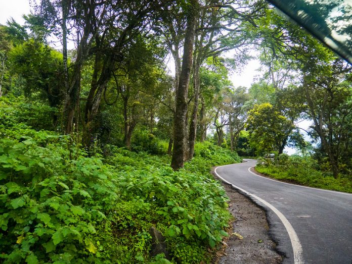 Munnar