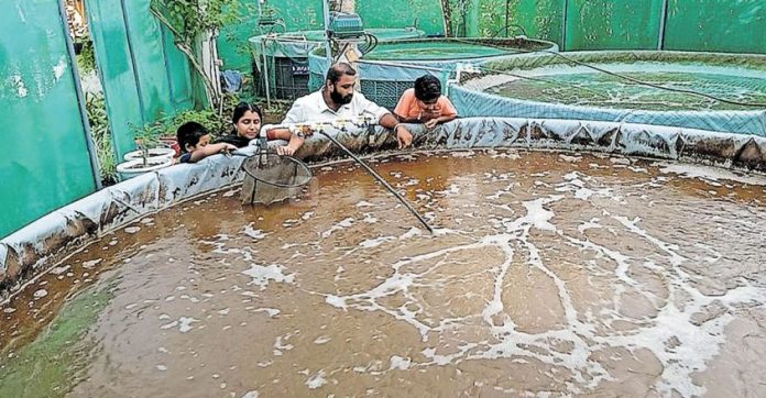kottayam-bioflock.jpg.image.845.440