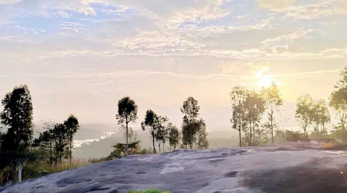 1132296-wayanad