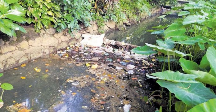 kottayam-waste.jpg.image.845.440