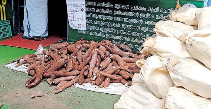 pathanamthitta-eco-shop.jpg.image.845.440