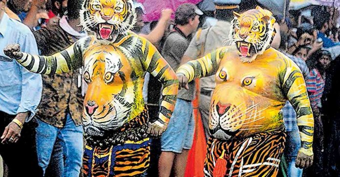 thrissur-pulikkali (1)