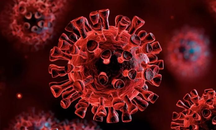 1160173-coronavirus-covid-19-1024x754