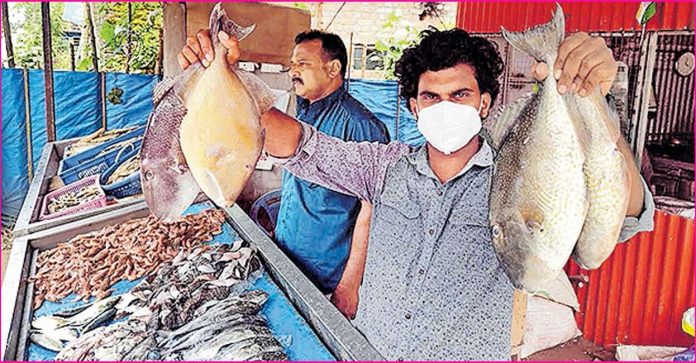 ernakulam-fish