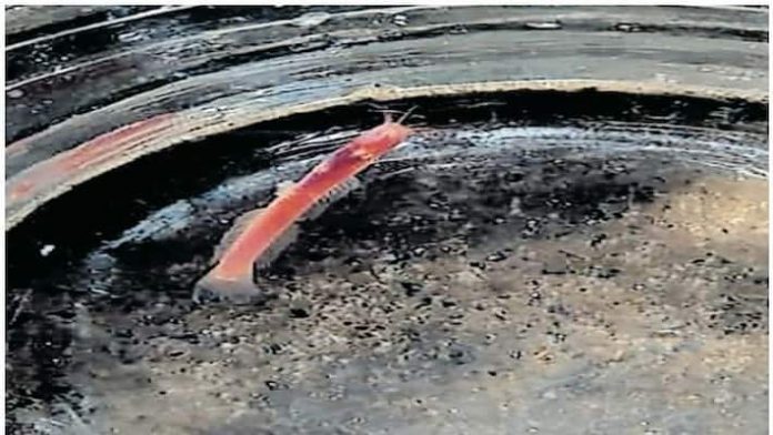 pjimage--30--jpg_710x400xt