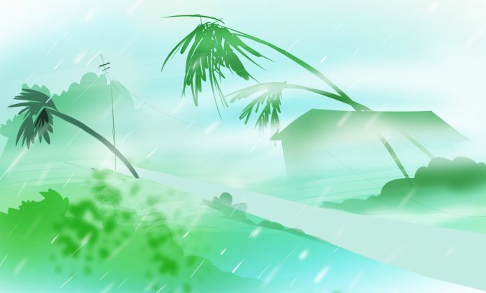 Wind