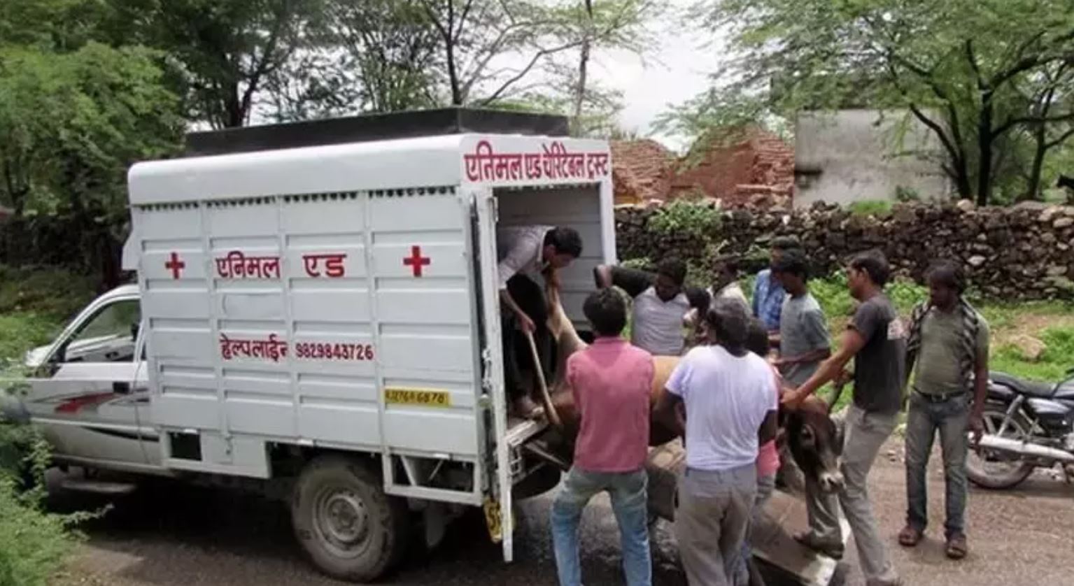 Uttarpradesh - cow- ambulace service
