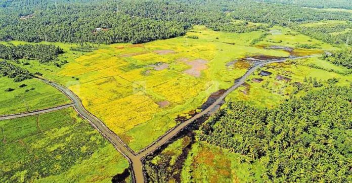 kozhikode-velyanoor-challo.jpg.image.845.440