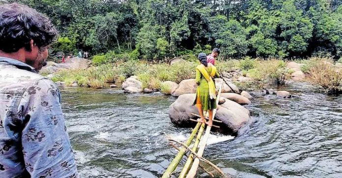 palakad-anjally.jpg.image.845.440