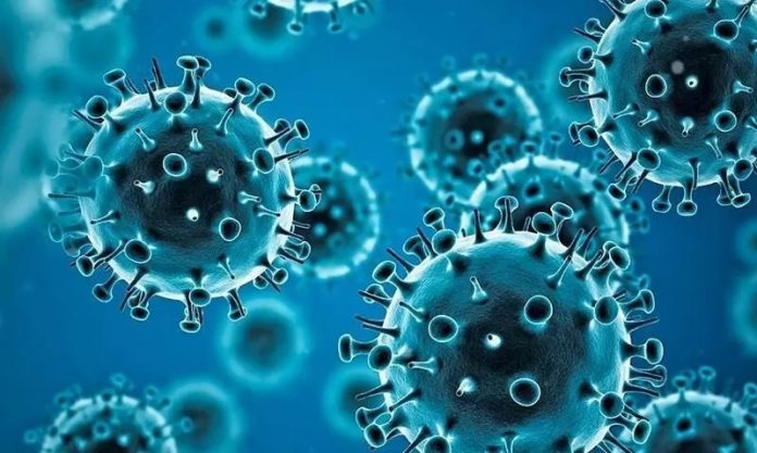 1366273-coronavirus-2_11zon