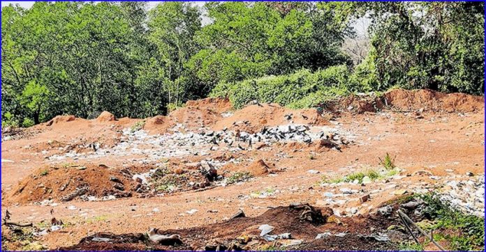 ernakulam-waste.jpg.image.845.440