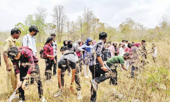 kashmiripandits- jammu kashm9ir