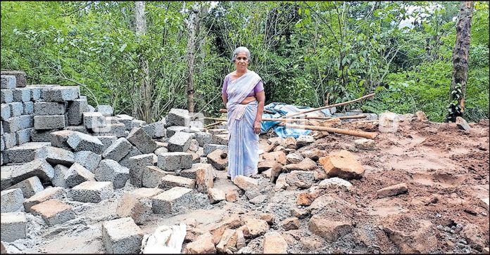 thrissur-wild-elephant-destroys-house