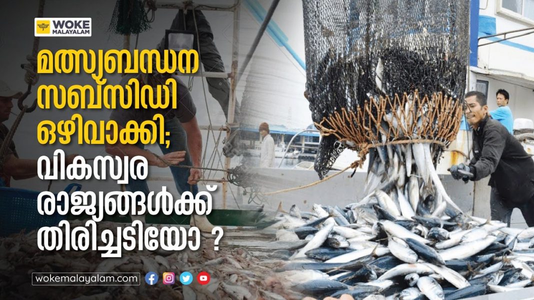fisheries-subsidy-waived-a-setback-for-developing-countries- world trade organization