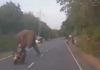 scooter rider almost hits elephant crossing road viral video.jpg