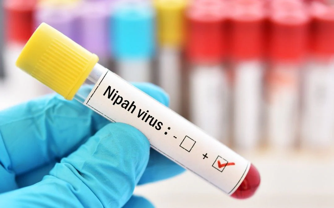 Scrub-Typhus Confirmed in 14-Year-Old Malappuram Boy Initially Suspected of Nipah